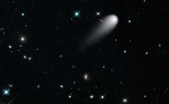 cometa5curiosita