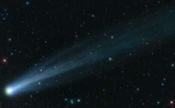 ison frantumazione