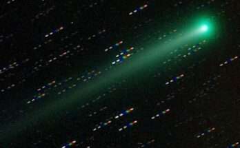 ison visibile