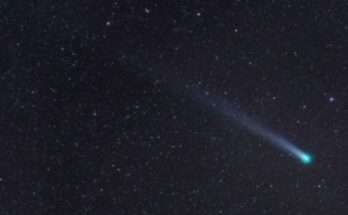 Lovejoy perielio