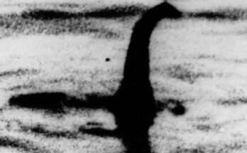 lochness morto