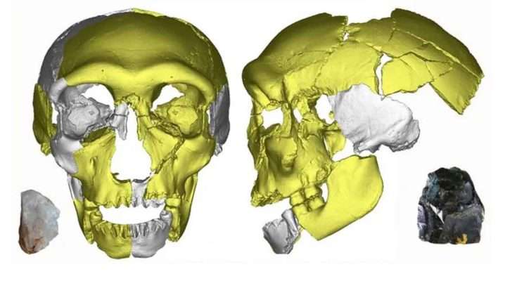 Teschio di una possibile nuova specie umana trovato in Cina