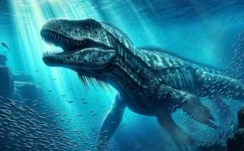 pliosauro Lorrainosaurus