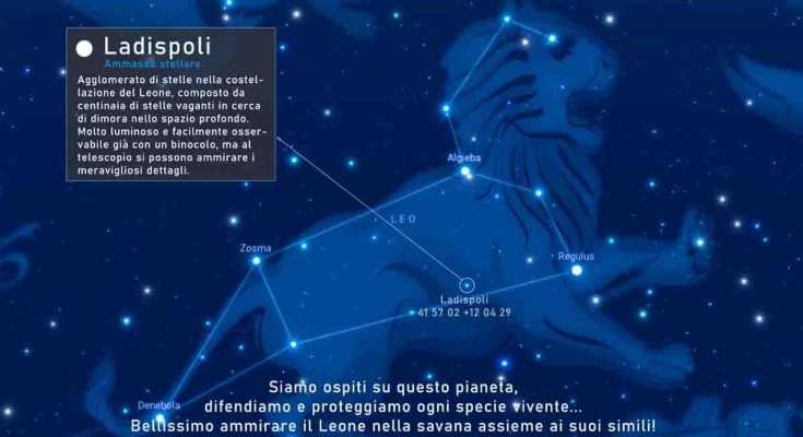 Leone di Ladispoli stelle