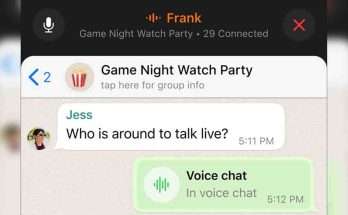 WhatsApp vocali di gruppo