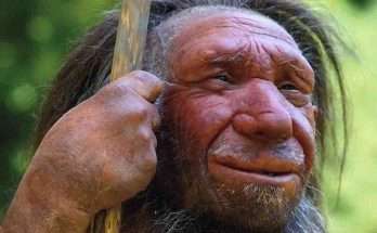 Neanderthal-Museum, Mettmann