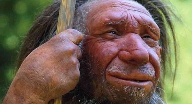 Neanderthal-Museum, Mettmann