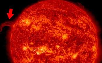 Filamento solare CME 22 gennaio 2024