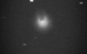 Cometa cornuta