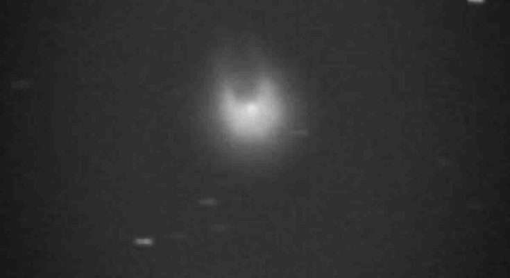 Cometa cornuta