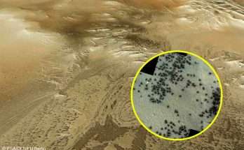 Centinaia di "ragni" avvistati nella "Città Inca" su Marte: le nuove foto satellitari