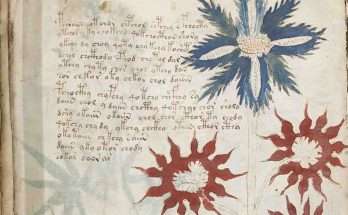 Manoscritto di Voynich