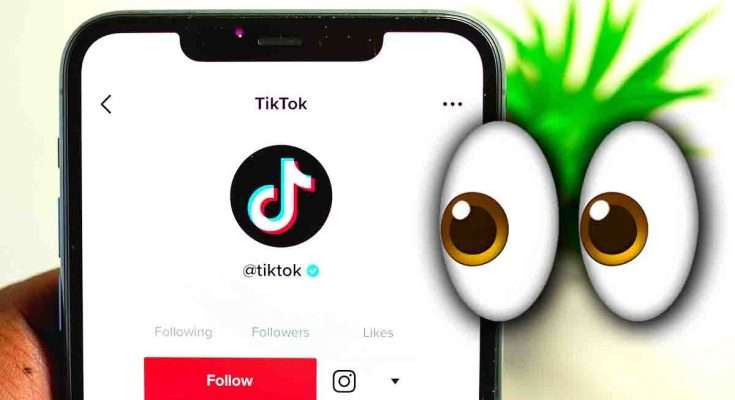 TikTok anonimo: come "spiare" i profili e le Storie senza farsi scoprire