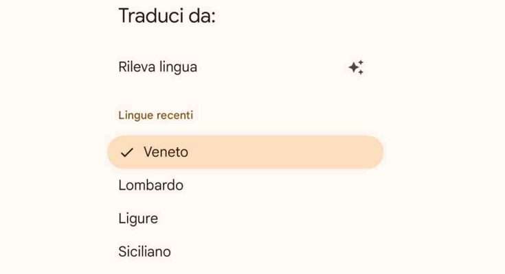 Google traduttore