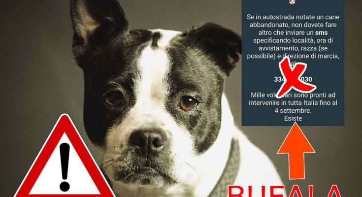 Se in autostrada notate un cane abbandonato sms 3341051030